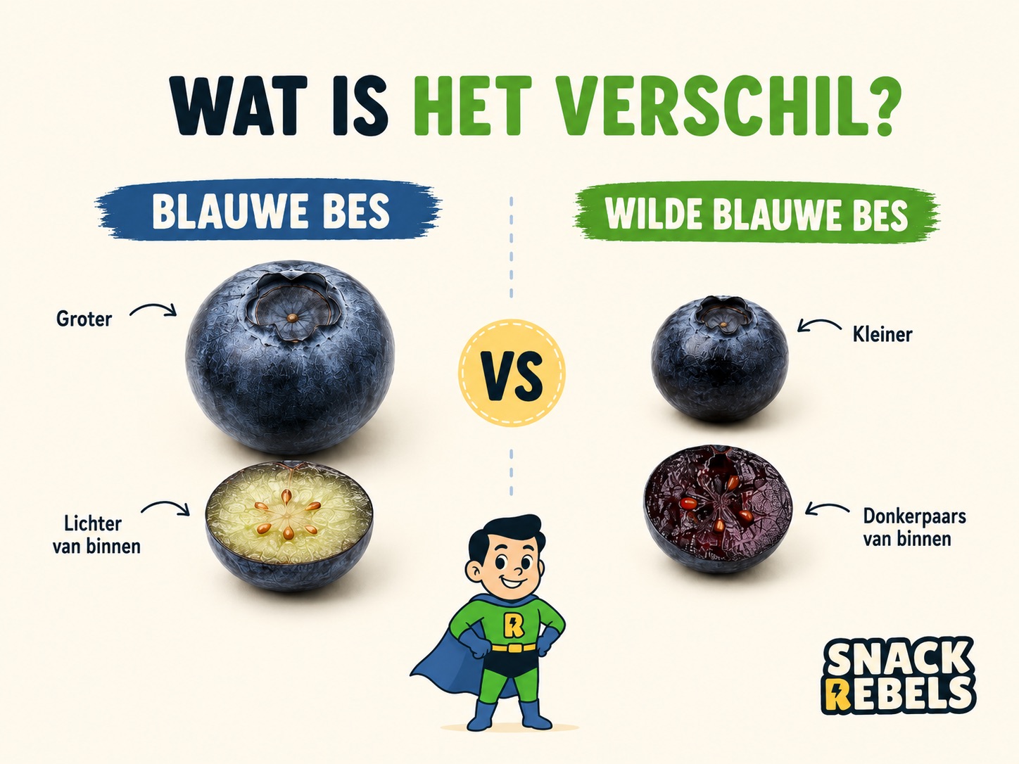 Vergelijking tussen gekweekte blauwe bes en wilde blauwe bes, van buiten en doorgesneden
