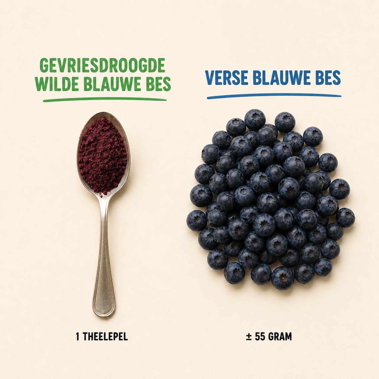 Eén theelepel gevriesdroogde wilde blauwe bes naast ongeveer 55 gram verse blauwe bessen